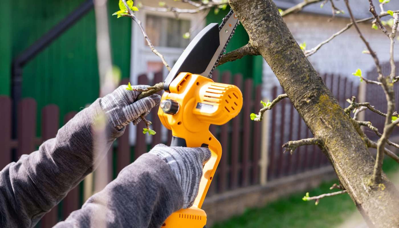 A person using an electric saw on a tree branch.