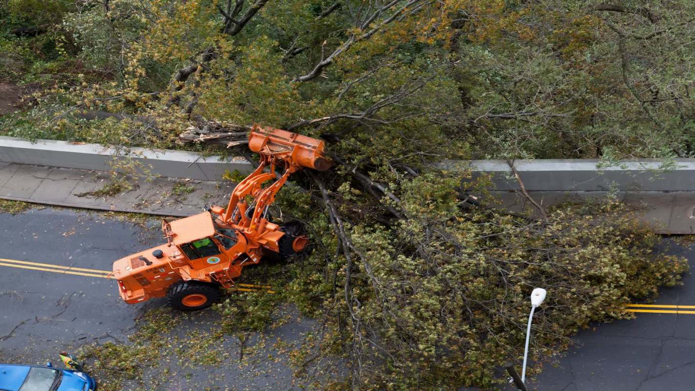 An orange machine removes fallen branches from a street blocked by debris.