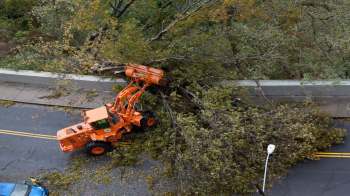 An orange machine removes fallen branches from a street blocked by debris.