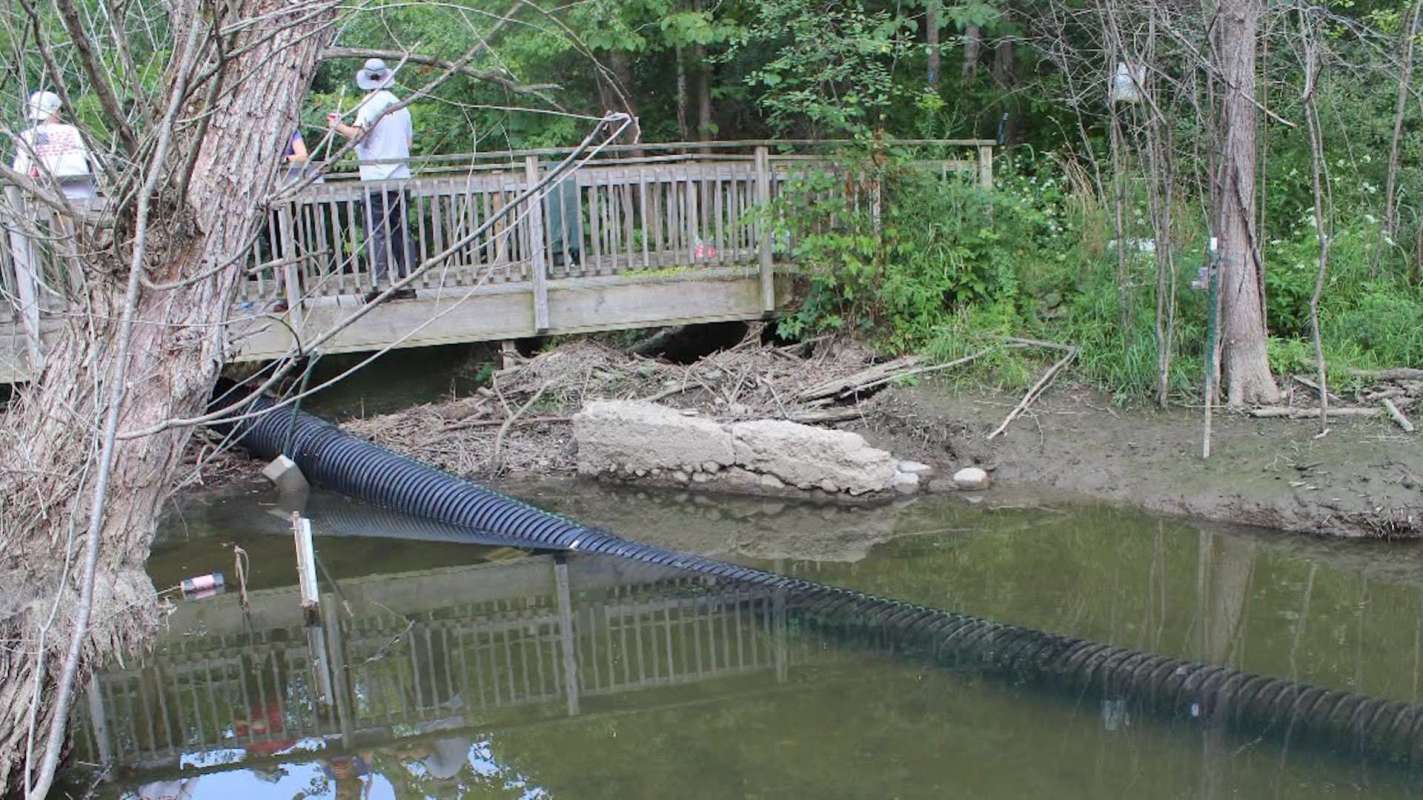 A wooden bridge over a stream with a black pipe extending into the water and various plant life around.