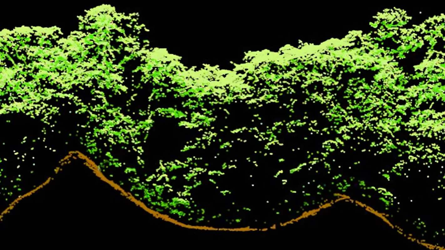 A digital representation of a green landscape with a brown outline against a black background.