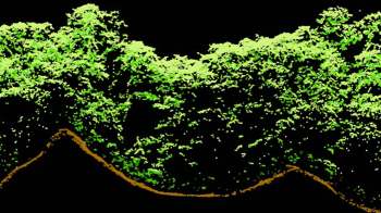 A digital representation of a green landscape with a brown outline against a black background.