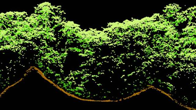 A digital representation of a green landscape with a brown outline against a black background.