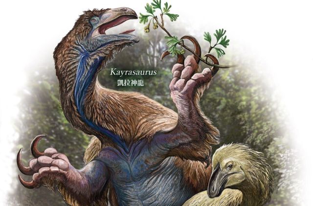 Fossil in China reveals giant-clawed dinosaur that may have looked like a 'feathered bear'