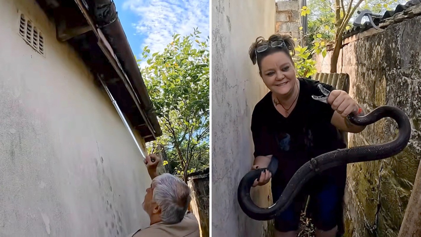 A person uses a pole to reach something on a roof while another person holds a large snake.