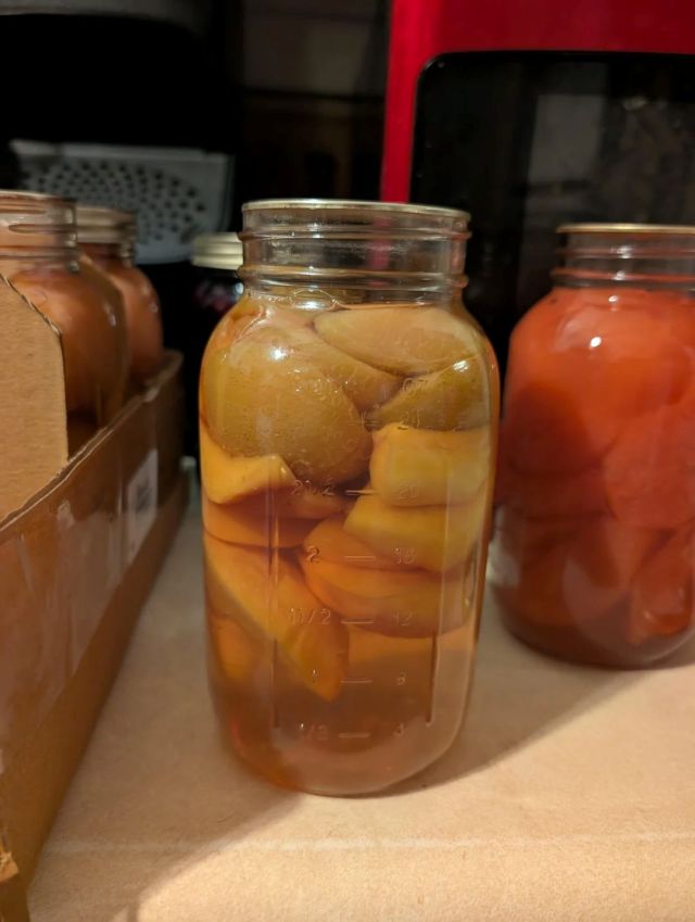 Jars of discolored fruit.