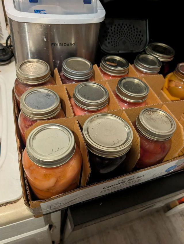 Several jars of discolored fruits.