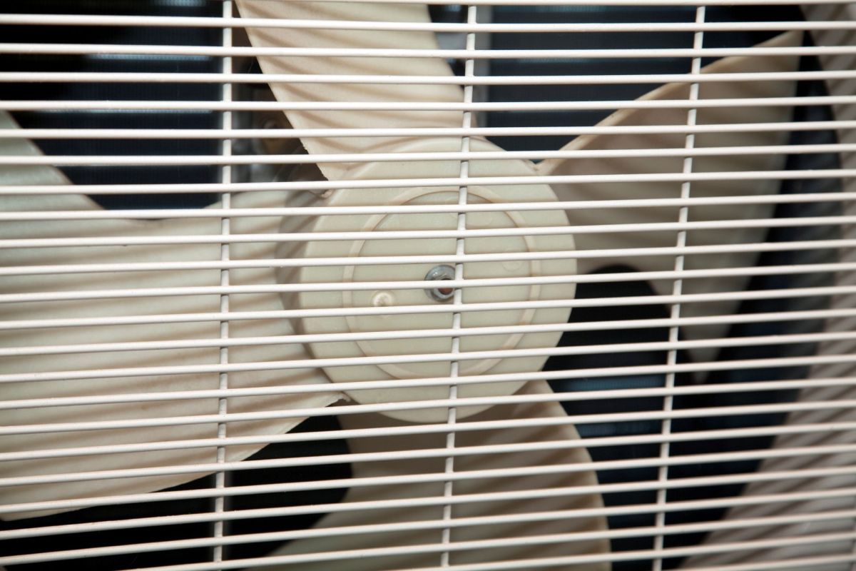 A white box fan with a fan blade