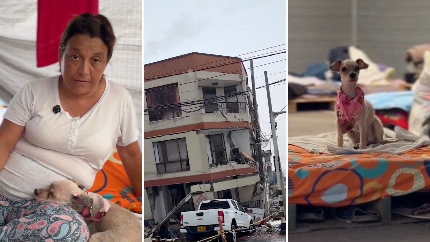 A woman sits with a dog in a makeshift shelter next to a collapsed building and a dog on a blanket.