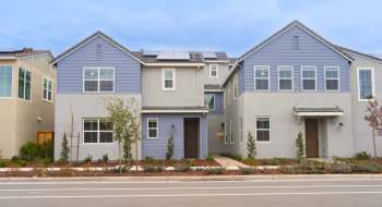 Two modern residential townhouses with landscaped front yards and a sidewalk.