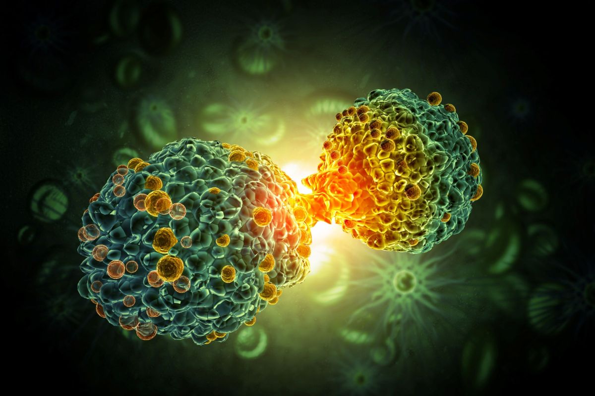 Cancer cells.