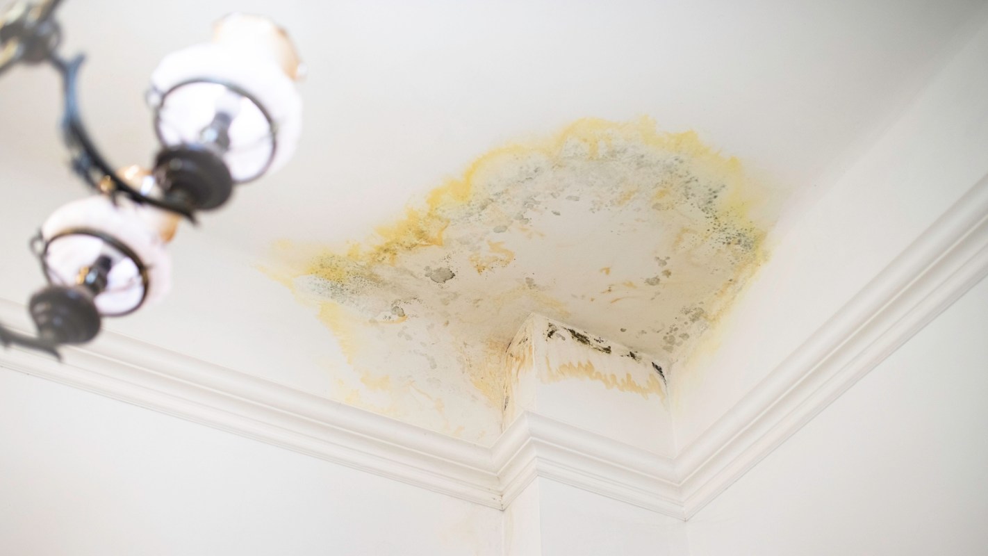 A ceiling with water damage and mold stains in a corner, alongside a chandelier.