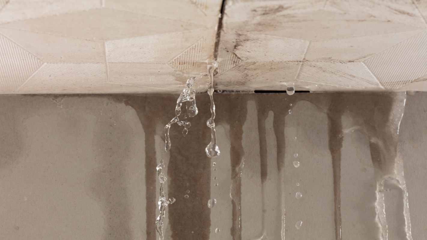 A leak coming from a crack in the ceiling.