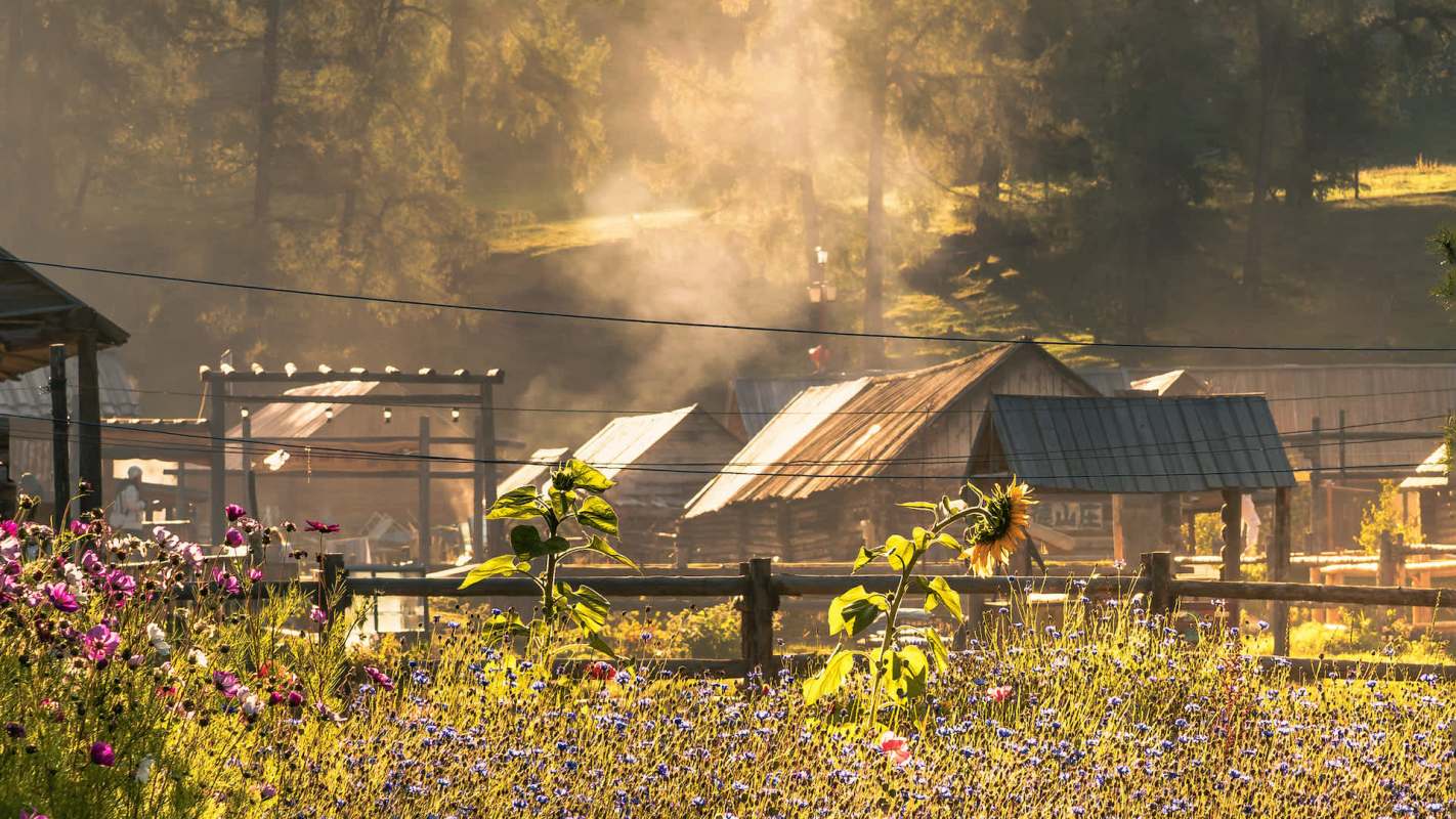 Cottage houses and garden in a village at dawn in China