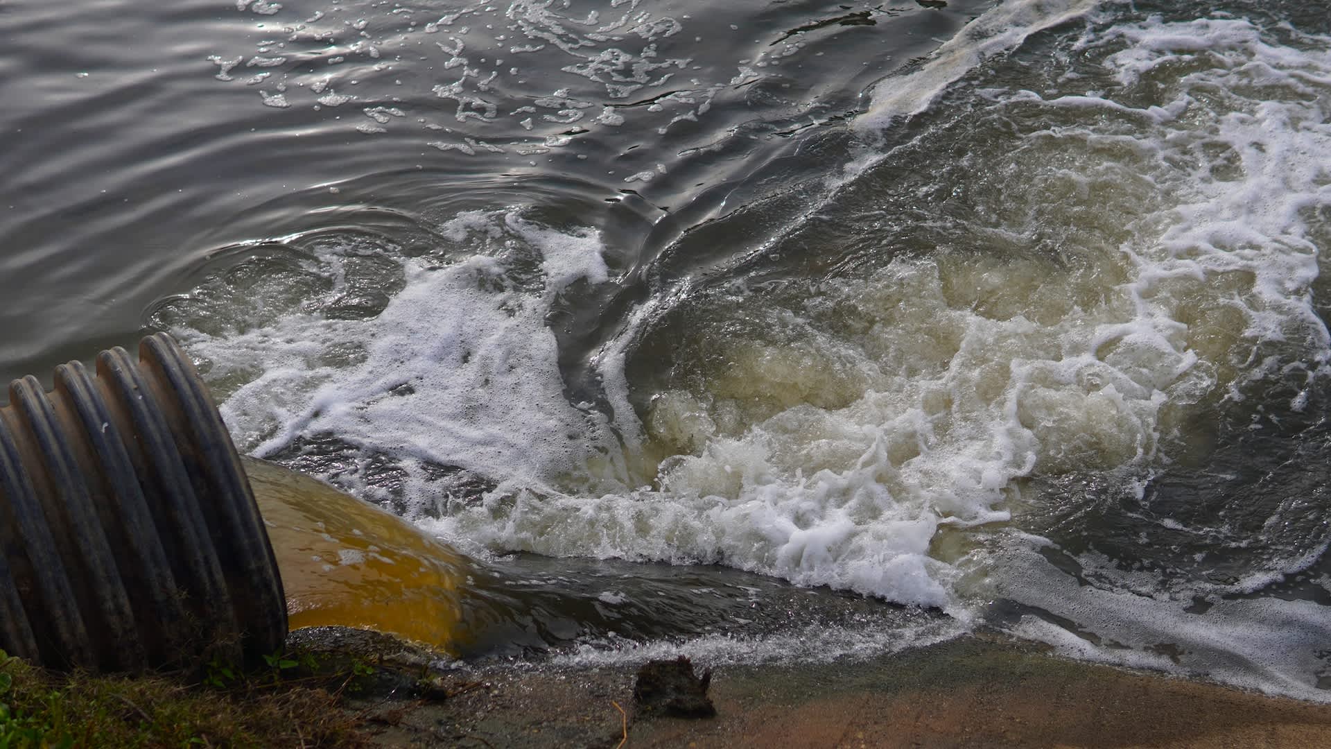 Florida wastewater plant spills 2,000 gallons of chlorine, official says it's 'nothing to worry about'