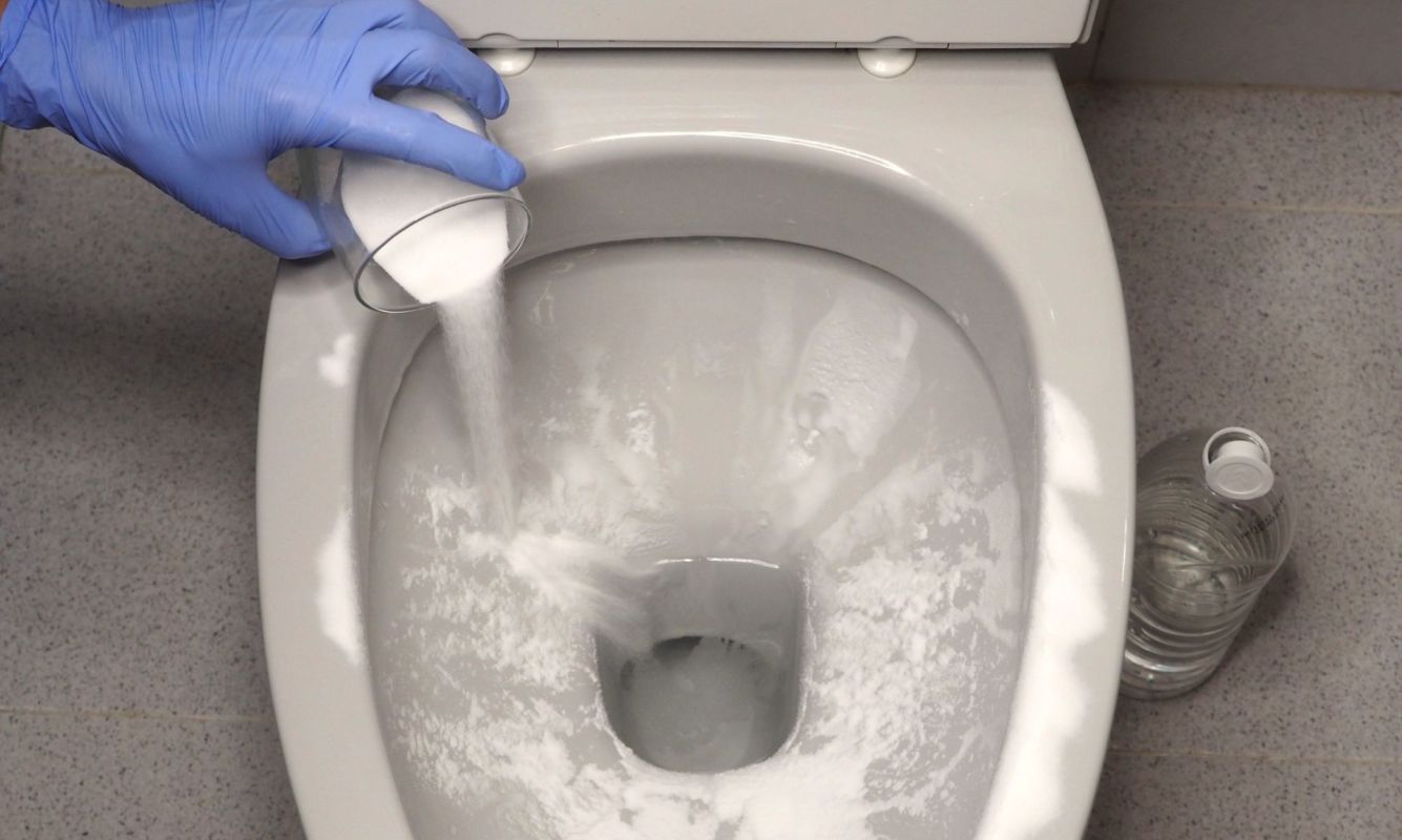 A person cleaning a toilet.