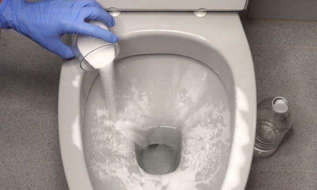 A person cleaning a toilet.