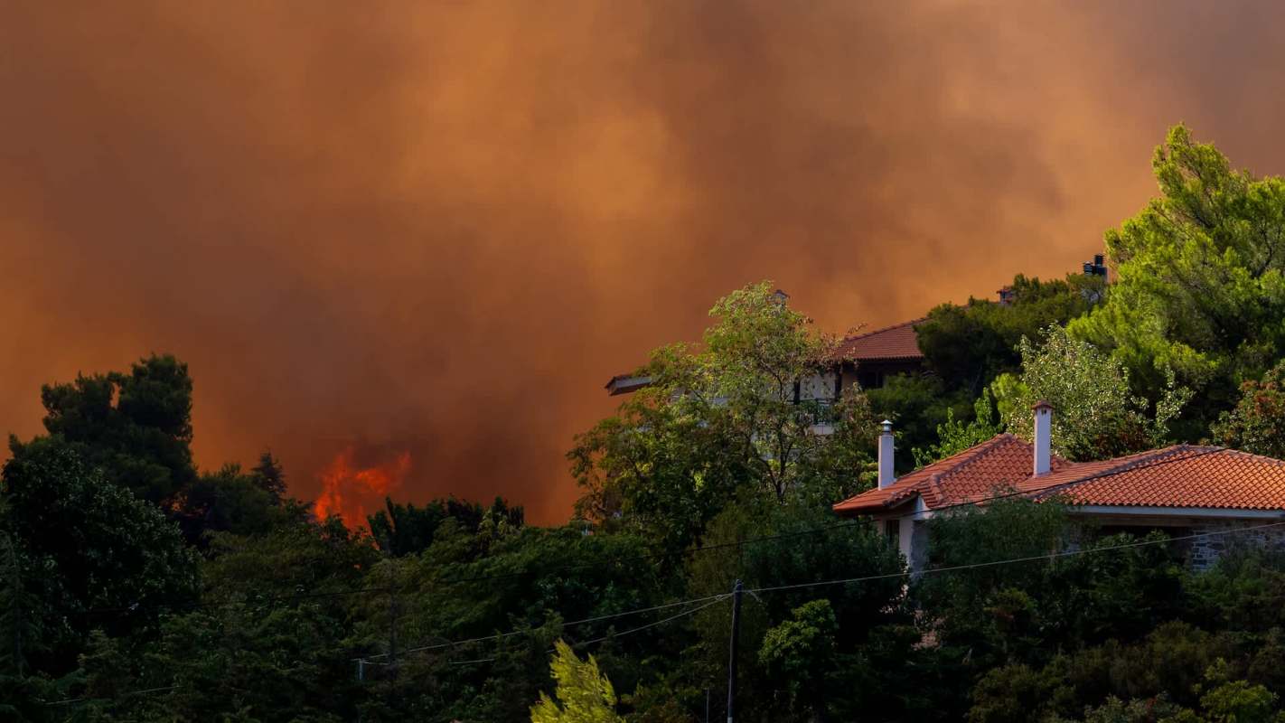 A large fire engulfs trees near residential buildings under a smoke-filled orange sky.