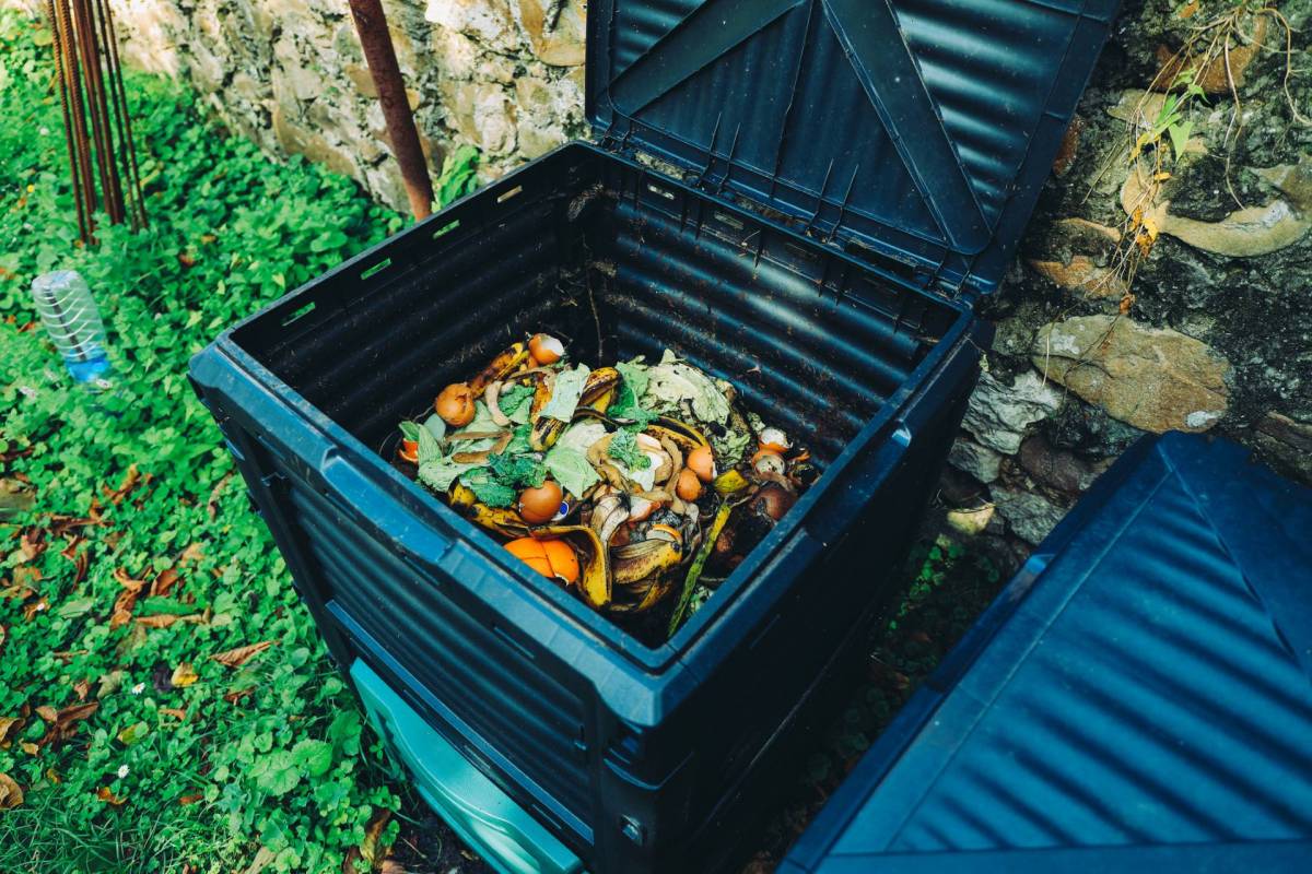 A compost bin with food scraps.