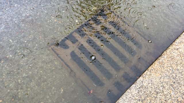 A rain-soaked street with a visible storm drain under shallow water.