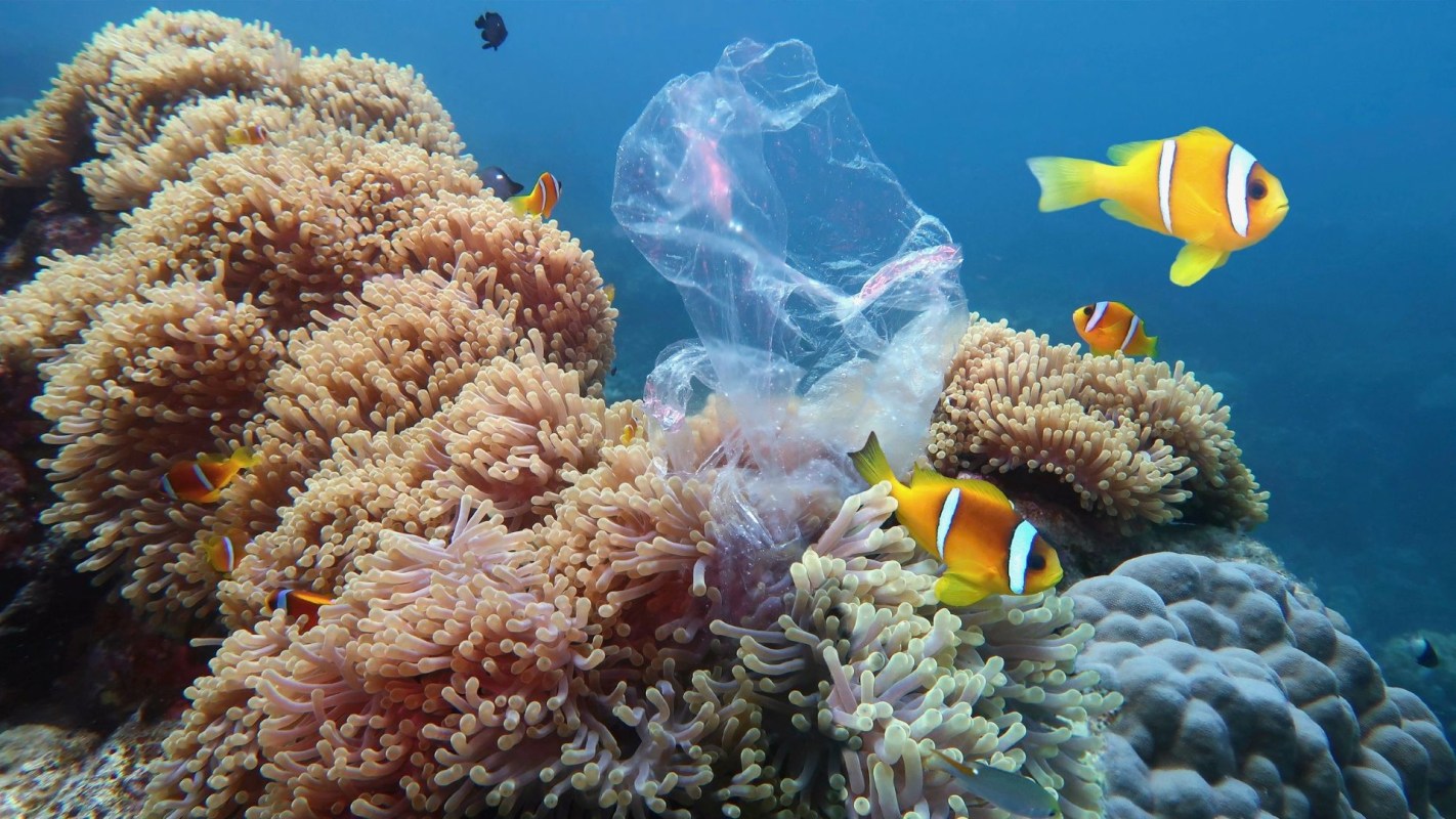 A colorful coral reef in the ocean with fishes swimming by and a plastic bag floating in the water