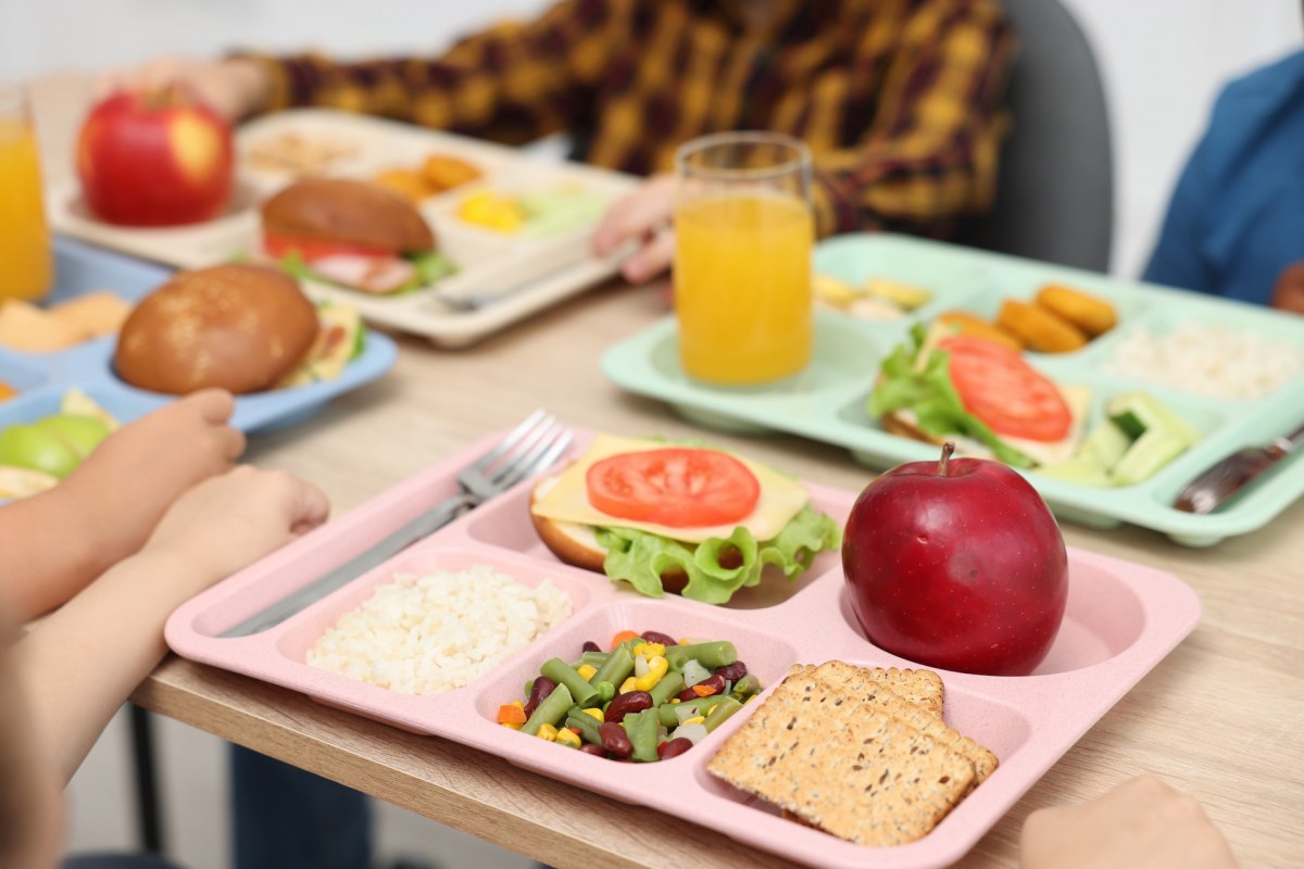 Lunch trays with various foods, including burgers, an apple, rice, and mixed vegetables on a table.