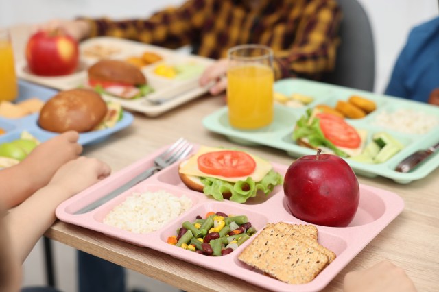 Lunch trays with various foods, including burgers, an apple, rice, and mixed vegetables on a table.