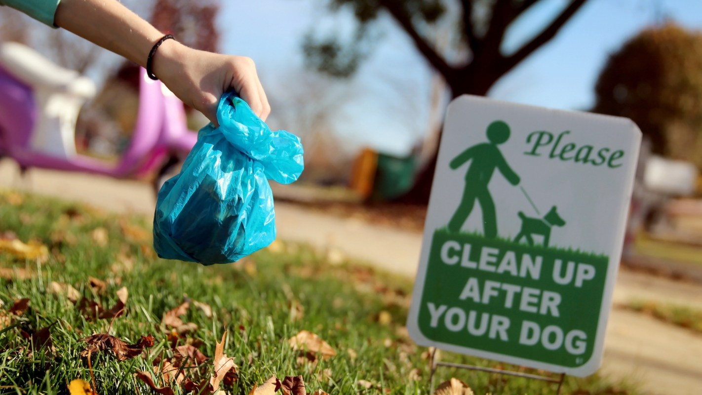 A person holding a bag of dog poop.