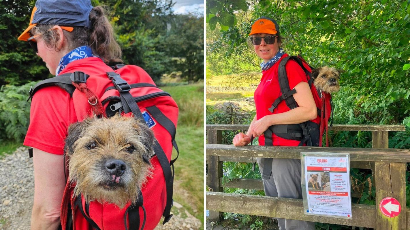 A woman with a dog in a backpack stands next to a missing pet poster in a green outdoor setting.