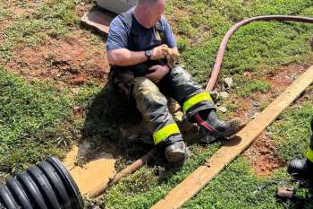 A firefighter sits on the ground, holding a small dog amid green grass and muddy terrain.