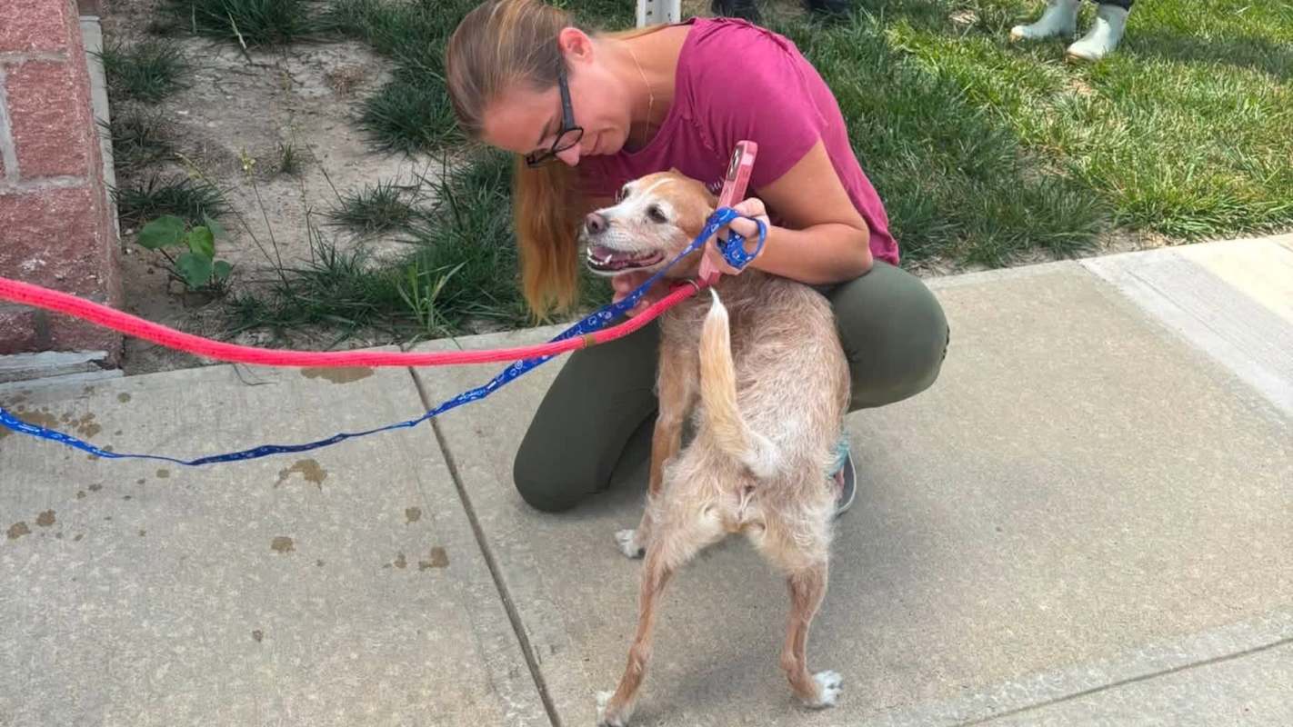 A person with a dog.