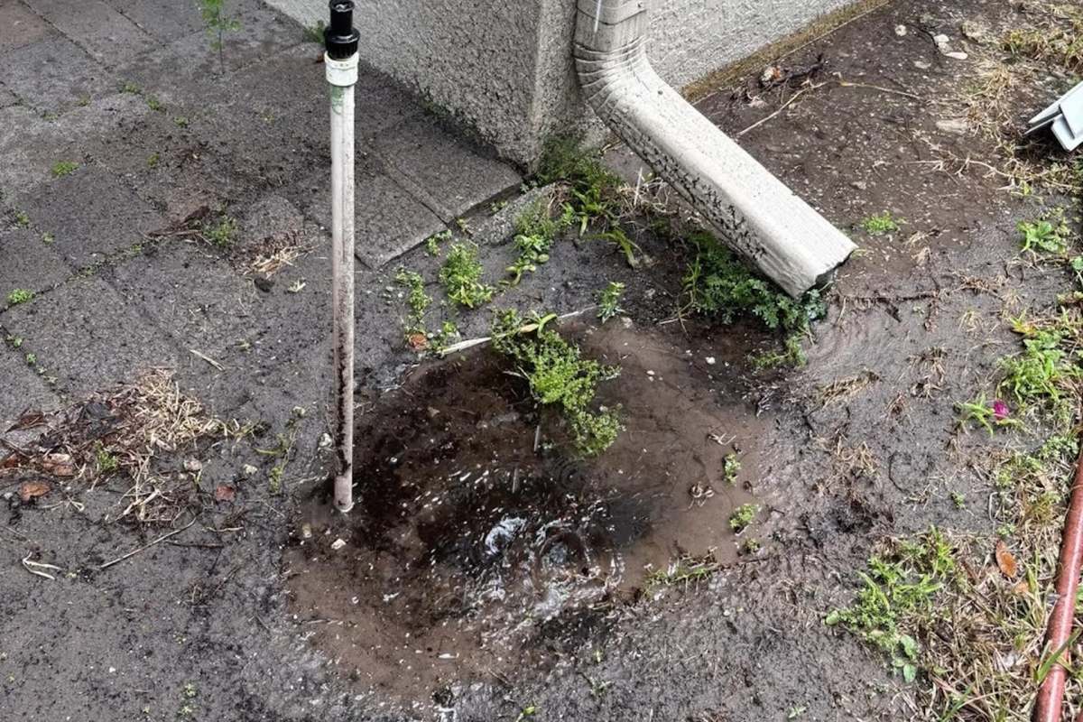 A puddle of water collects near a drainpipe on a patio with patches of grass and scattered debris.
