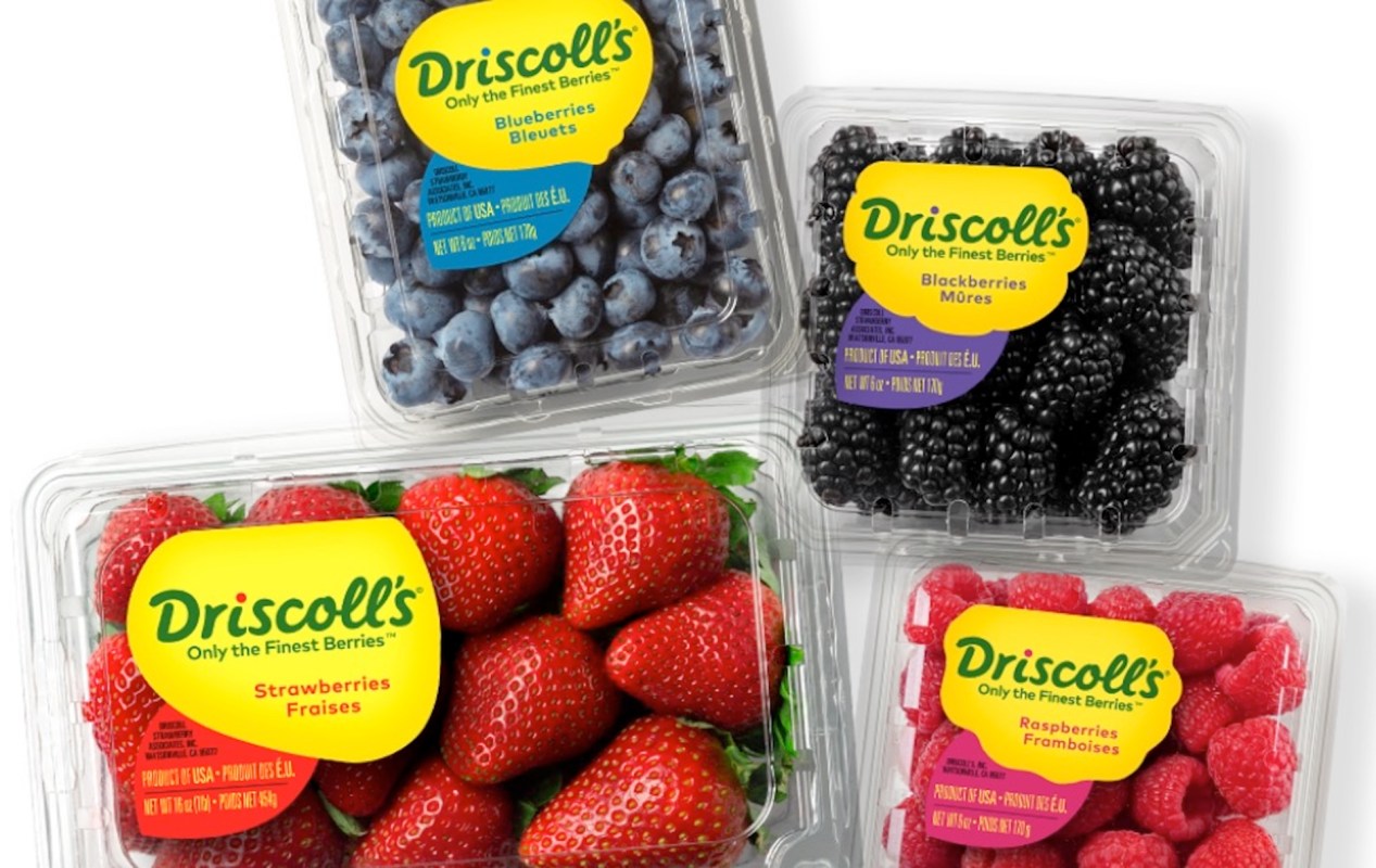 Driscoll's strawberries, blueberries, blackberries, and raspberries.