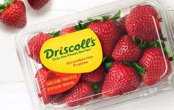 A container of fresh strawberries with a yellow label branding.