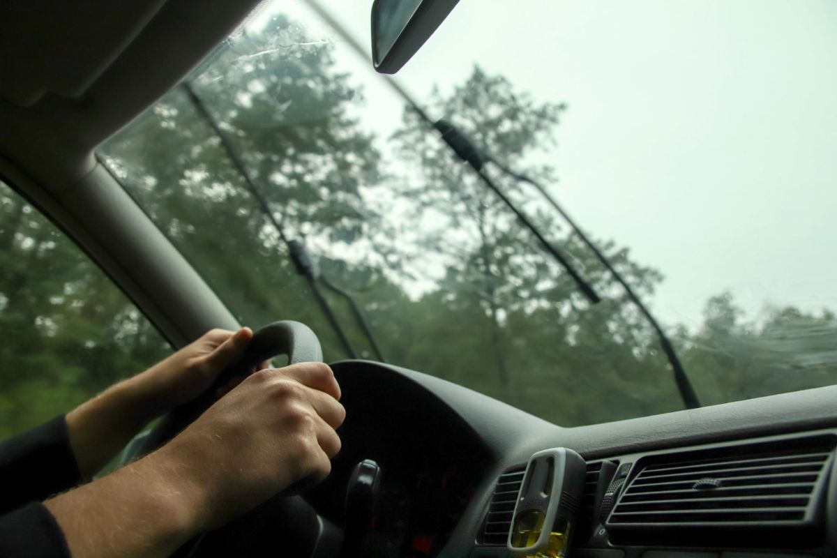 A person driving a vehicle.