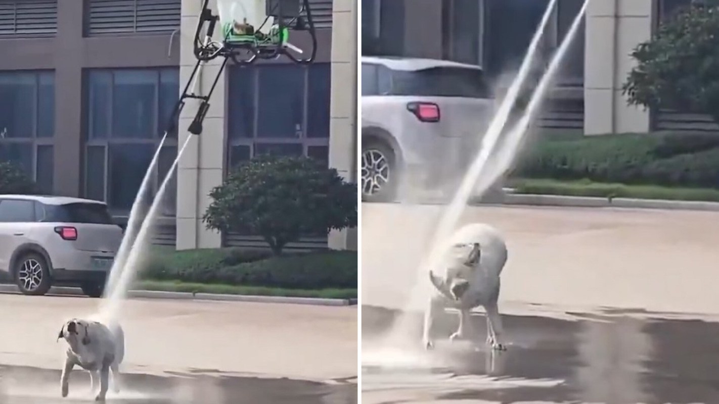 A dog shakes water off while a drone sprays water nearby.