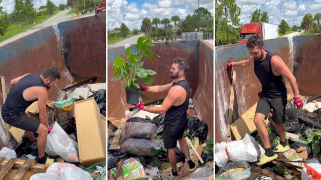 A man retrieves a potted plant from a dumpster filled with trash and debris.