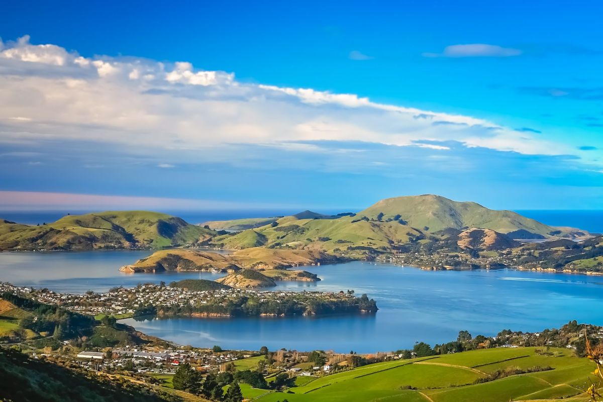 Dunedin, Aotearoa New Zealand.