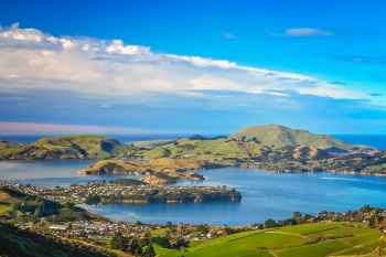 Dunedin, Aotearoa New Zealand.
