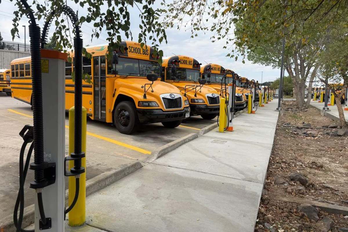 Electric school buses at charging stations.