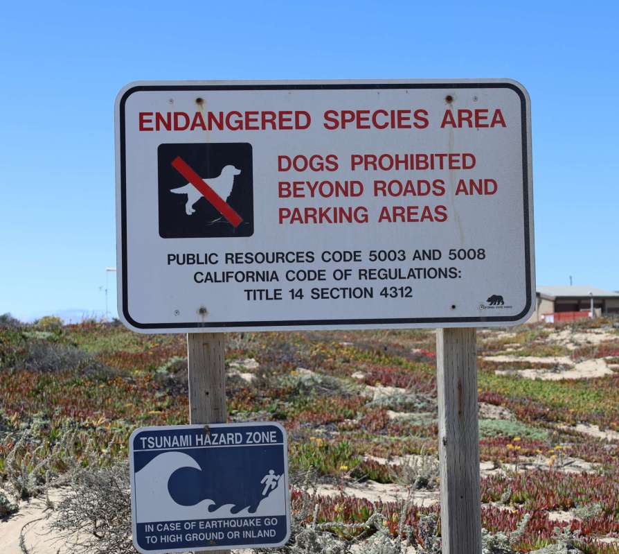 A sign indicating an endangered species area and a tsunami hazard zone.
