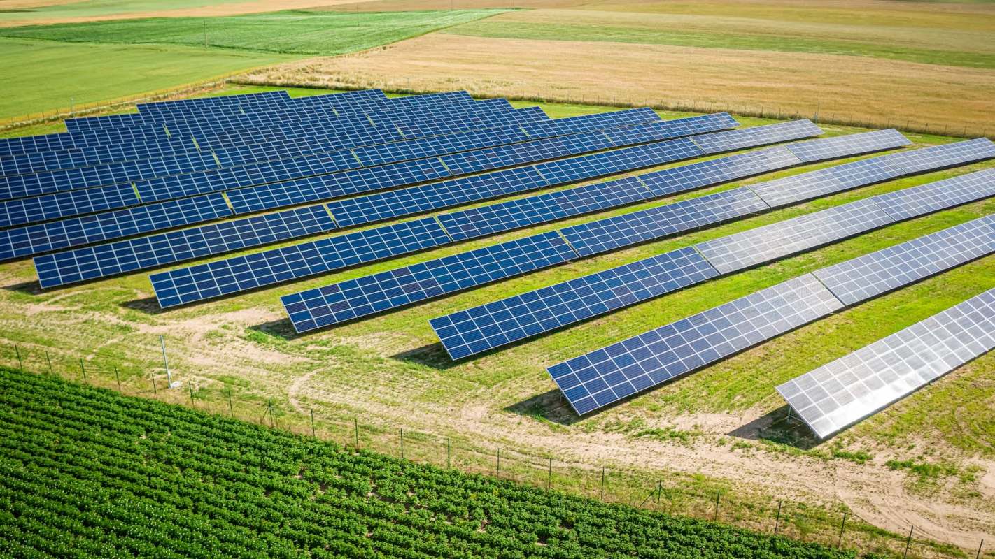A field of solar panels installed on grassy land, with agricultural fields in the background.