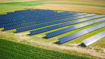 A field of solar panels installed on grassy land, with agricultural fields in the background.