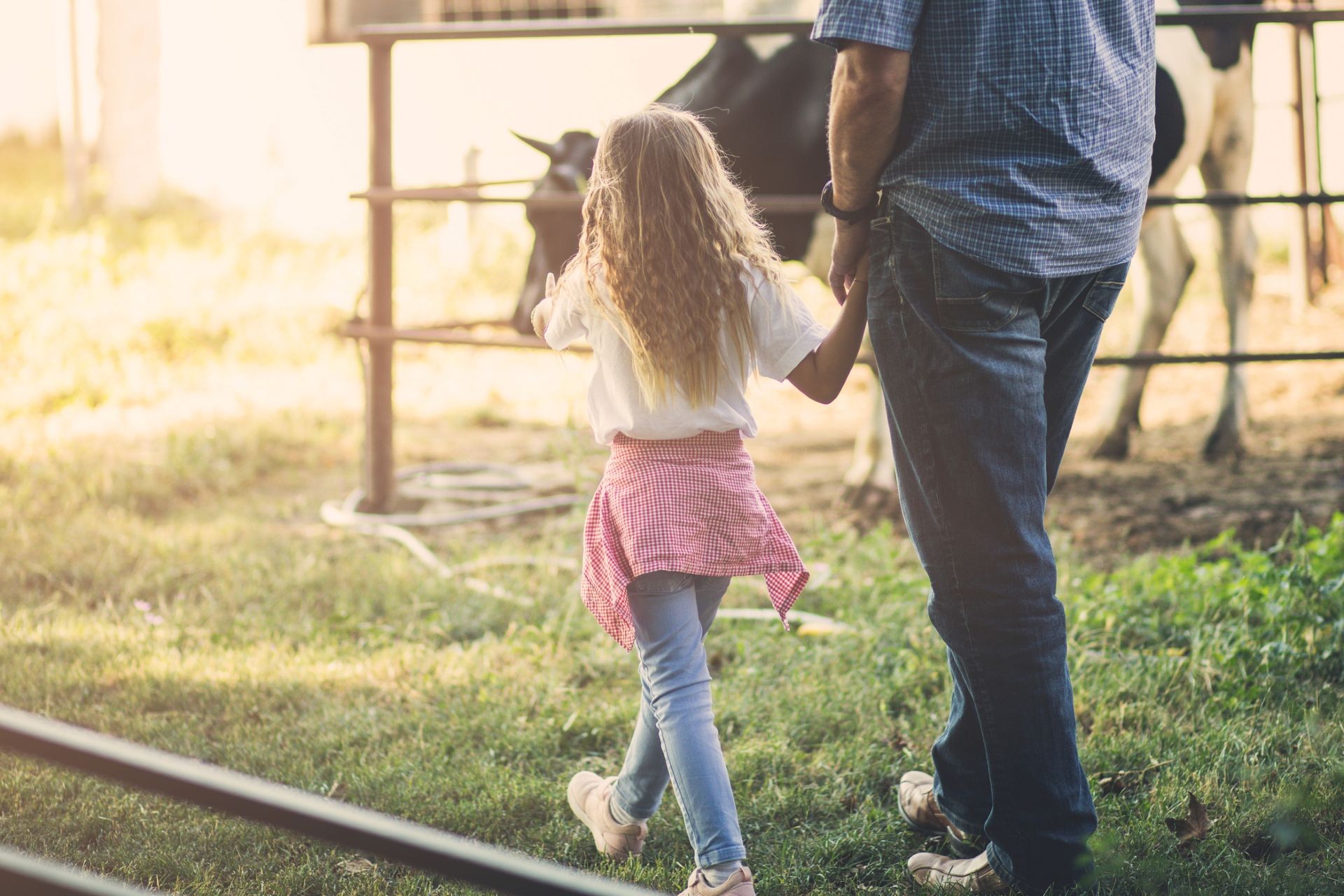 Missouri farmers turn to farm stays as rising costs bite, and new grants aim to help