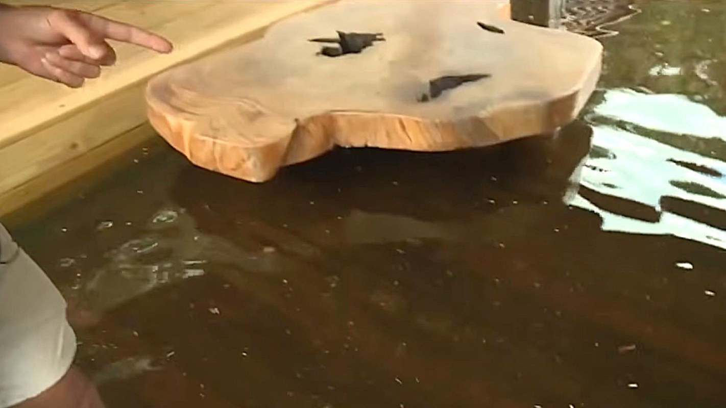 A person points at a wooden surface partially submerged in water.
