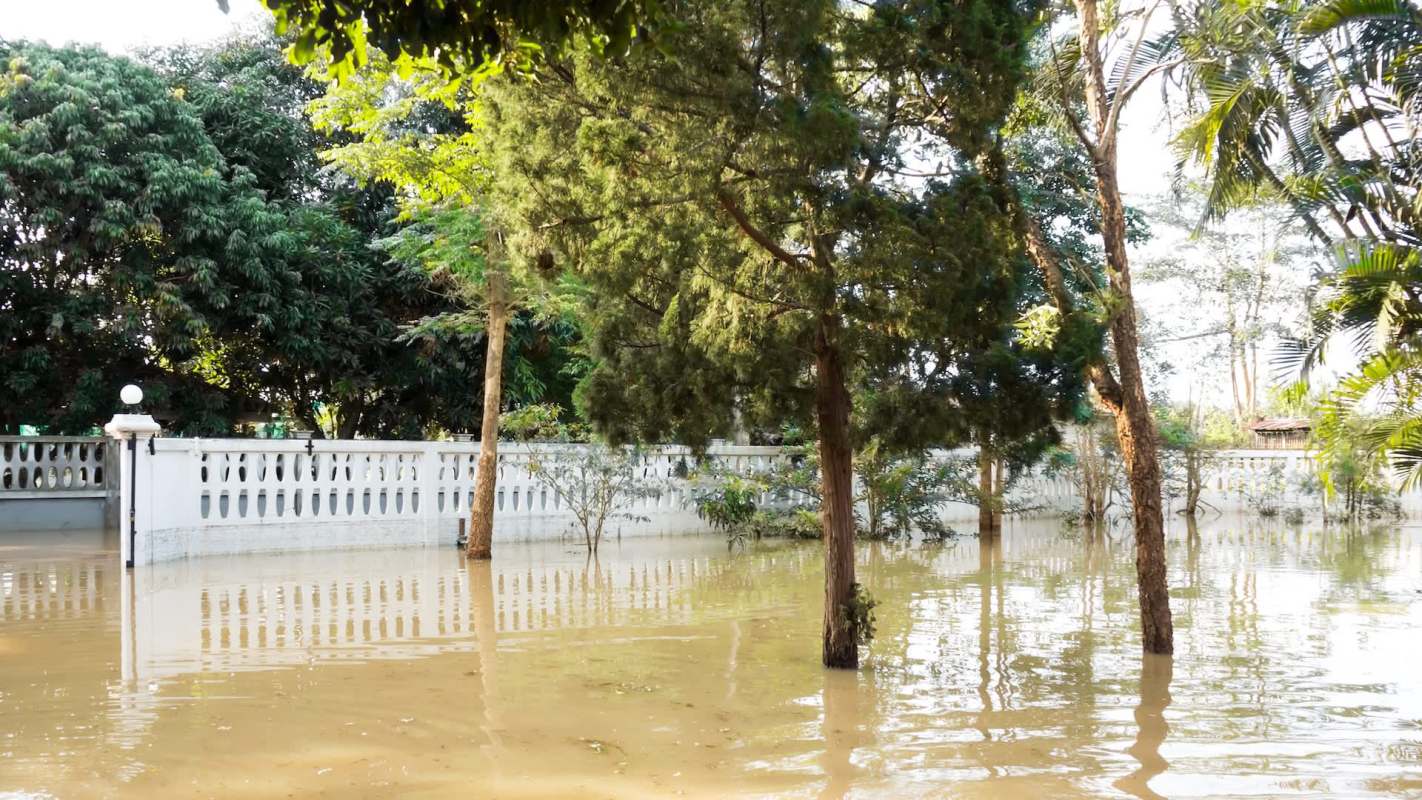 A flooded area surrounded by trees and a white fence.
