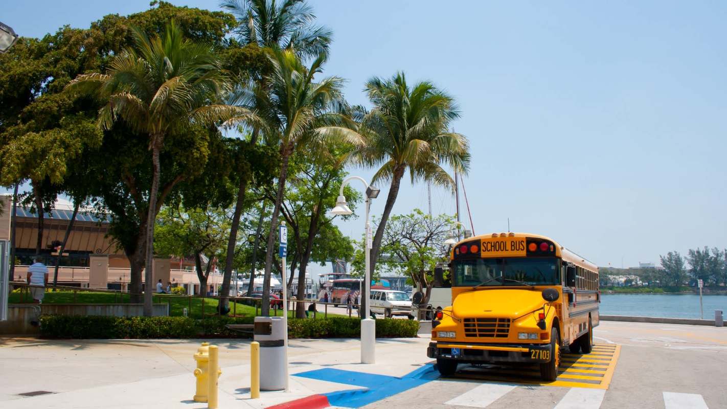 A yellow school bus parked near palm trees and a waterfront.