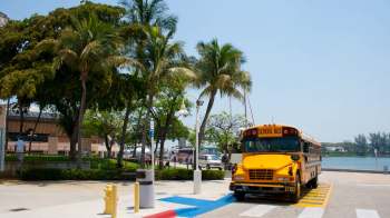 A yellow school bus parked near palm trees and a waterfront.