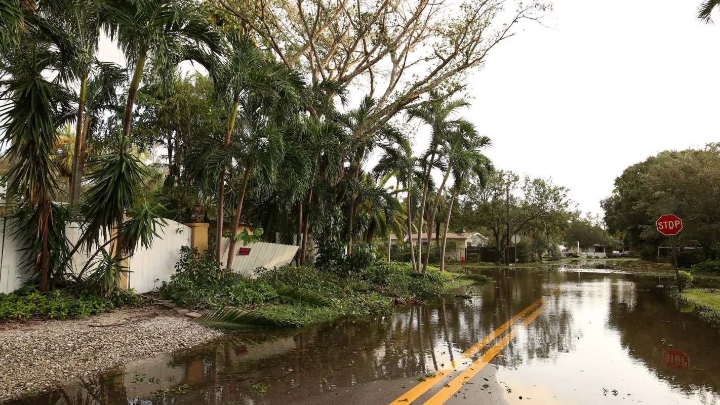 A flooded street lined with palm trees and debris, featuring a stop sign in the foreground.