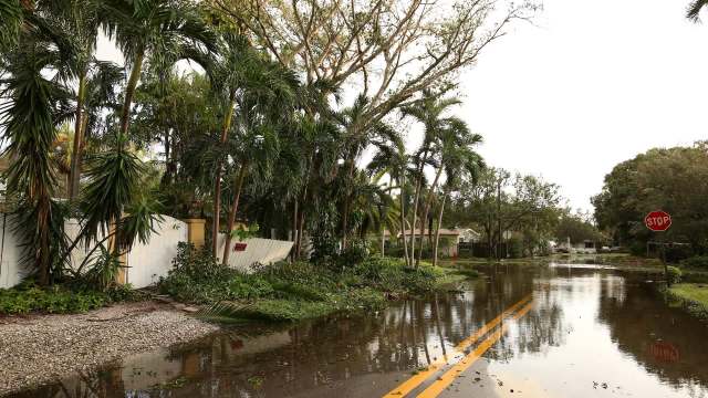 A flooded street lined with palm trees and debris, featuring a stop sign in the foreground.